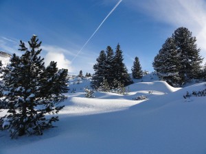 Prachtige omstandigheden