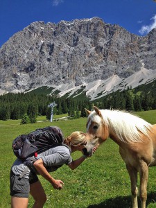 Annie kust een Haflinger