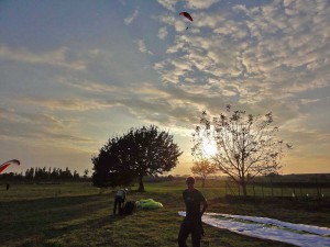 Vliegen tot in het avondrood